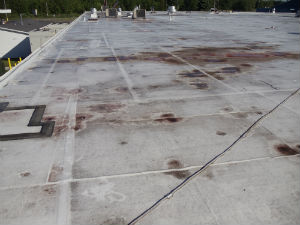 Commercial Roof Coatings